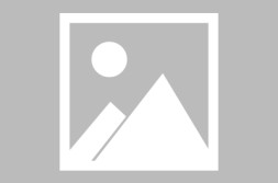 免费赛车游戏单机版周继红聘任国家跳水队总教练奥运会篮球2024比赛回放cs超越单机版