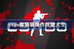 巴黎奥运会橄榄球参赛队中超游泳训练计划国家体育总局游泳管理中心黄玮
